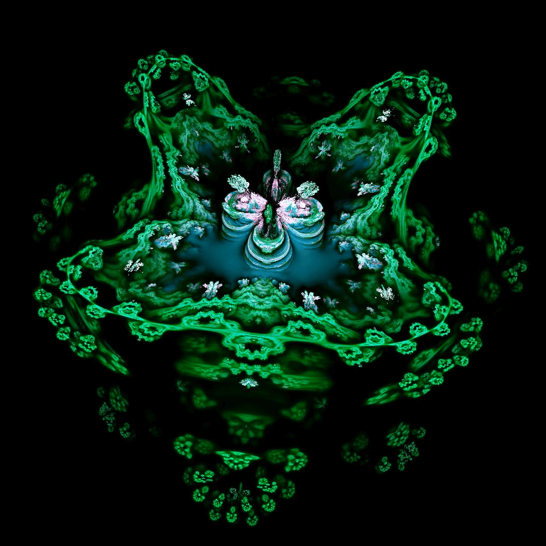 Image for Fearful Symmetry