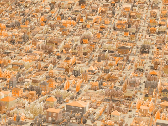 Image for Remnants of Humanity
